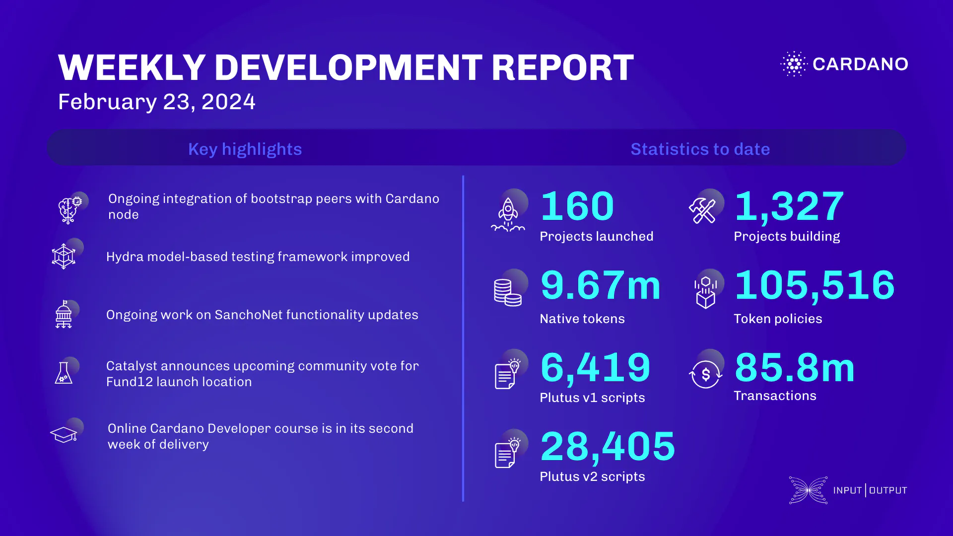 weekly development report